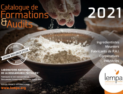 Notre catalogue de formation 2021 vient de paraître !